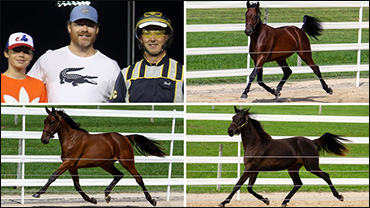 Heimbecker High On Ontario