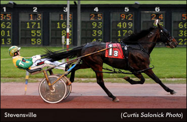 Stevensville Stars In Stallion Series