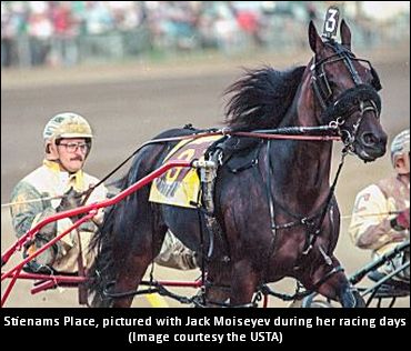 Stienams Place Retired From Breeding