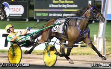 Mistletoe Shalee To Stonebridge Soul