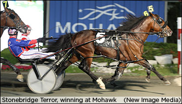 Stonebridge Terror Sold