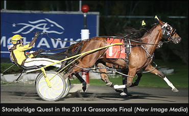 Champion Fillies Back In Spotlight