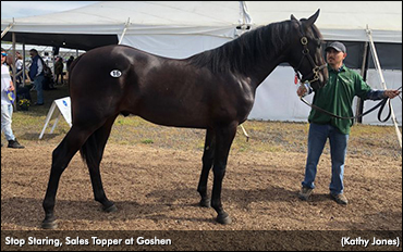 Goshen Yearling Sale In The Books