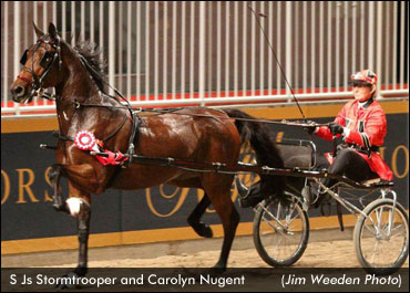 Standardbreds At Royal Horse Show