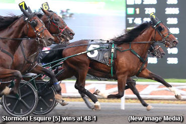 Upset City In Gold Divisions