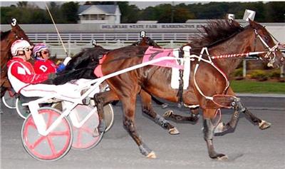 Seven For Davis Jr., 71 For ‘Northstar’