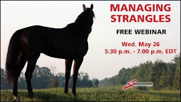 Last Call To Register For Managing Strangles Webinar