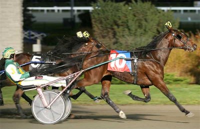 Striking Lindsey Strikes Gold At Woodbine