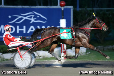 Stubborn Belle Blows Foes Away