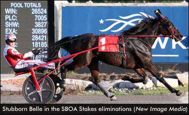 Stubborn Belle Wins 2015 Debut