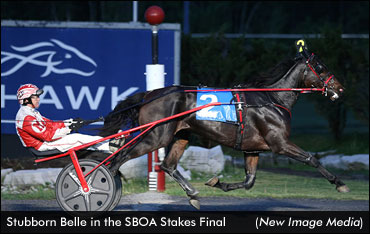 Stubborn Belle, Solar Sister Share Stakes Spotlight