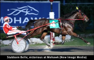 Bax Discusses Stubborn Belle