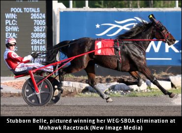 Bax Discusses Stubborn Belle