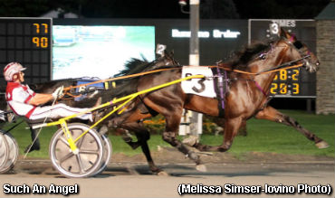 Saratoga's Track Record Tumbles