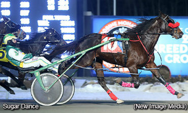 Blizzard Sweep For Sugar Dance; Bettor B Going Dazzles In Snowshoe
