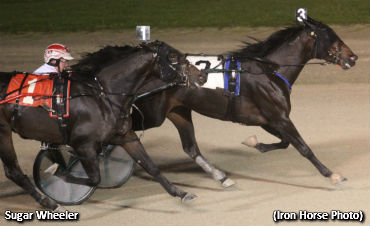 Sugar Wheeler Staves Off Miss Paris