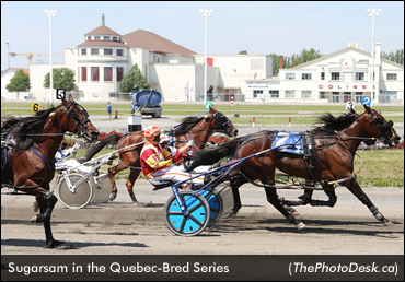 Sugarsam Back In Win Column