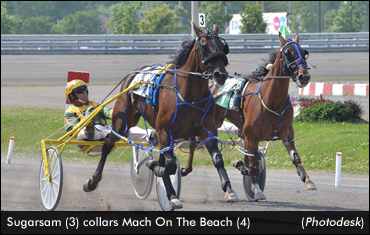 Sugarsam Wins Series Stretch Duel