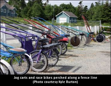 Sulky Reported Missing At Grand River