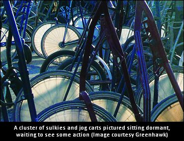 Driving Colony Attracts Attention