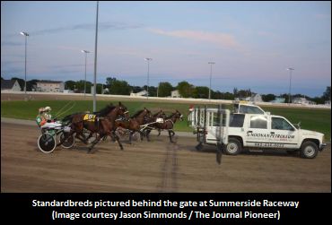 Aged Mares Pacing Series Kicks Off