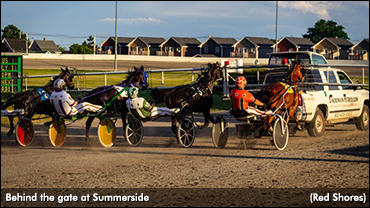 Moonwriter Lands In Summerside
