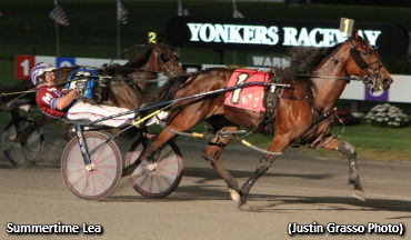 Nearly Perfect Filly A Pleasant Surprise