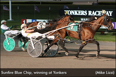 Sunfire Blue Chip Set For Battle