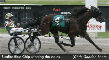 Sunfire Blue Chip Wins 2013 Adios