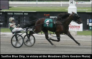 Sunfire Blue Chip Retired, To Stud