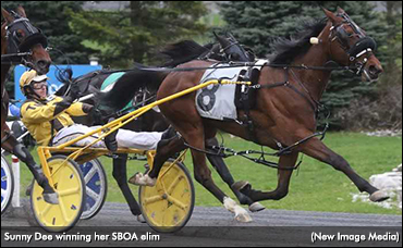 Mohawk Hosts SBOA Elims