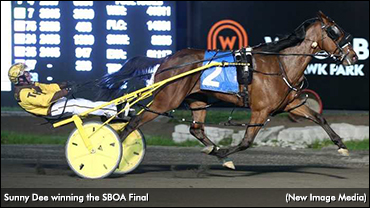 Sunny Dee Shines; McWicked Returns