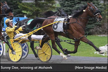 Henry & McIntosh Hot At Mohawk