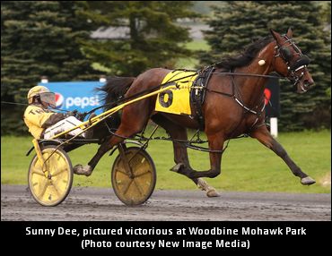 Future's Bright For Sunny Dee