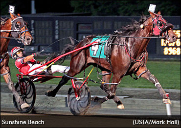 Sunshine Beach To Seelster