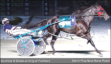 Sunshine N Shade Sharp At Flamboro