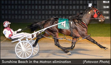 Matron Elimination Round Complete