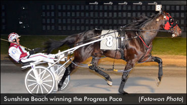 Update On Sunshine Beach