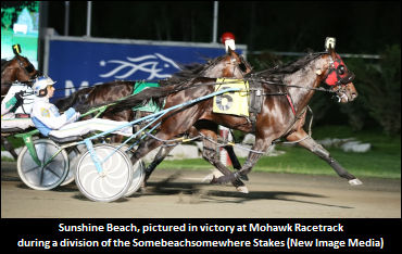 Sunshine Beach To Miss The Jug