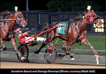 Sunshine Beach Adds Owners