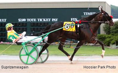 Suprizemeagain Tops Tattersalls Mixed Sale