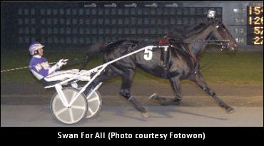 Swan For All Book Full And Closed