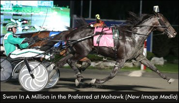 Swan In A Million Wins Rowe Memorial