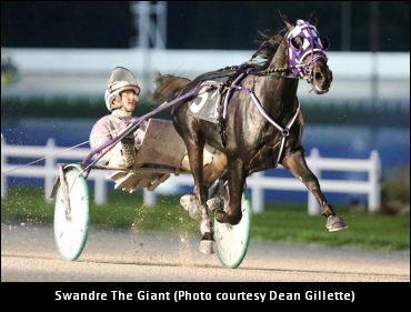 Bowden On Swandre The Giant Purchase