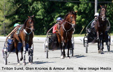 Swedes Serious About Trotters, Tourism