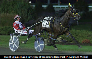 Sweet Lou’s 2019 Stud Fee Raised