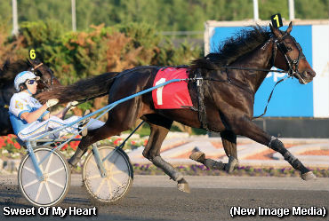 Sweet Of My Heart Solid In Debut