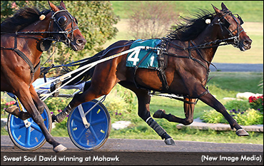 Sweet Soul David Widens Grassroots Lead