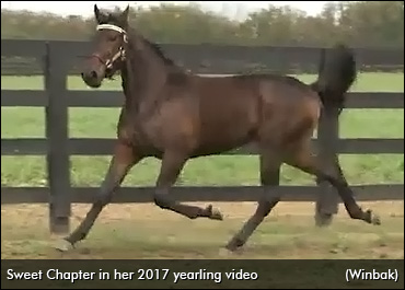 Fillies Flaunt It Friday At Mohawk