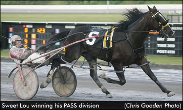 Sweet Lou Stays Perfect Heading Into Cup